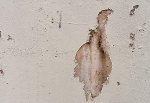 Removing wall marks